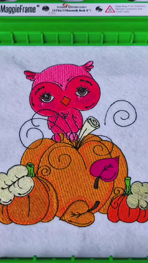Embroidered fall design featuring a cute pink owl sitting on top of a large pumpkin, surrounded by smaller pumpkins and swirling vines. Perfect for autumn sweatshirts, kids’ apparel, and hoodies 